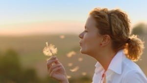 Qué es el enunciado aclarador de Access