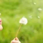 Qué son las Barras de Access Consciousness